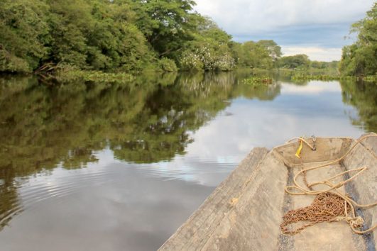 Los Llanos Orientales: The Eastern Plains of Colombia - Adventure Better